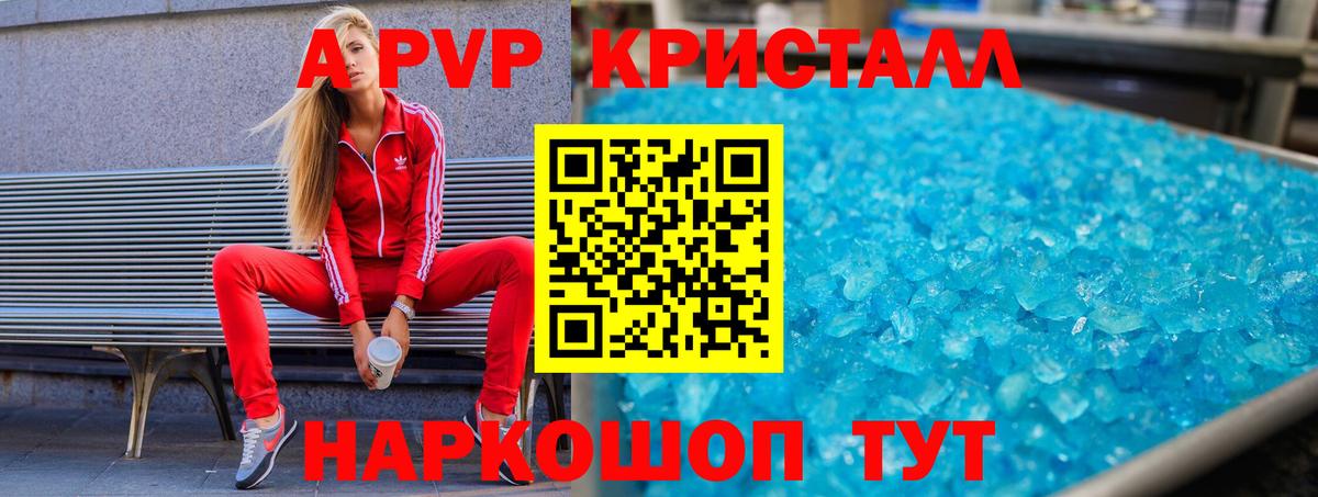 A PVP СК КРИС Казань