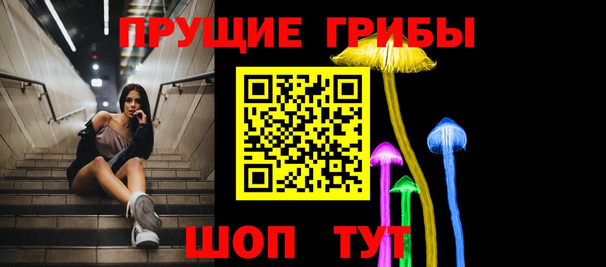 Псилоцибиновые грибы Psilocybine cubensis Казань